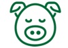 iconf3